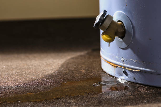 Best Local water damage restoration  in Anaheim, CA