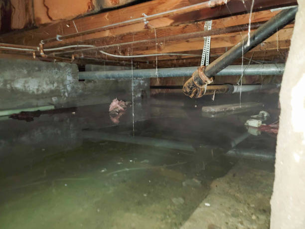 Best Flooded house restoration  in Anaheim, CA