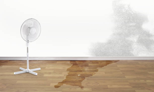 Best Water damage contractors near me  in Anaheim, CA