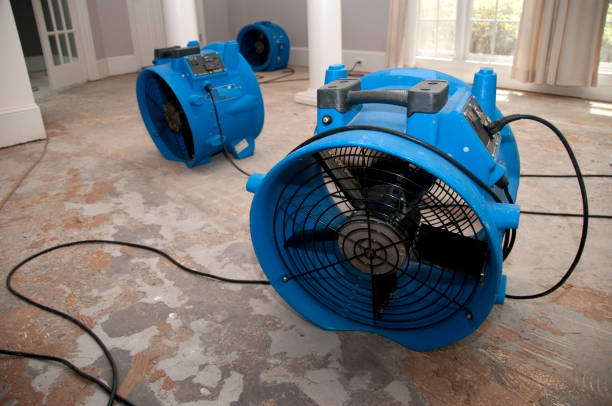 Best 24-hour water damage restoration  in Anaheim, CA