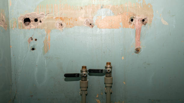 Best Flood damage cleanup  in Anaheim, CA