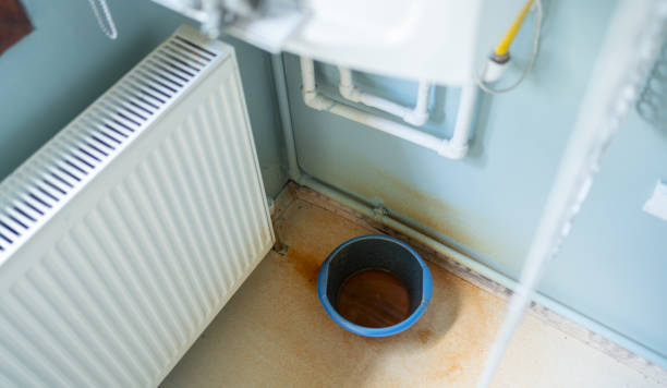 Best Professional water damage repair  in Anaheim, CA